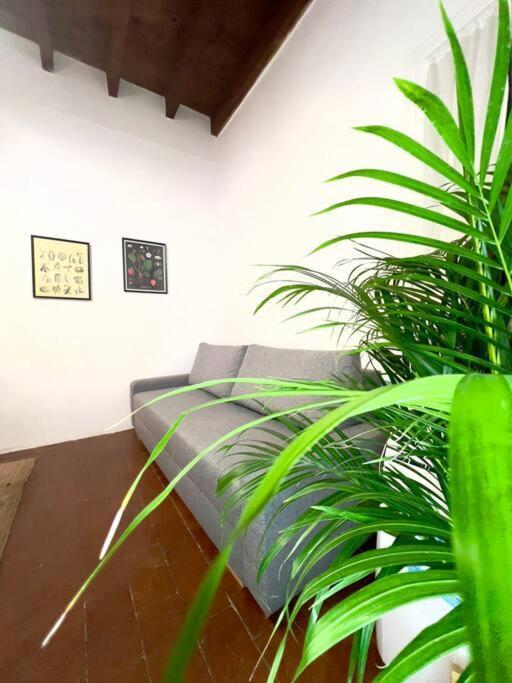Casa Centro Firenze Wi Fi Aria Condizionata Netflix 아파트 외부 사진